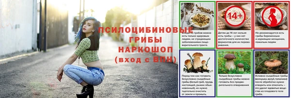 не бодяженный Беслан