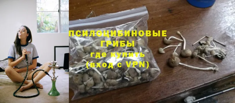 как найти закладки  Ленск  Галлюциногенные грибы Psilocybe 