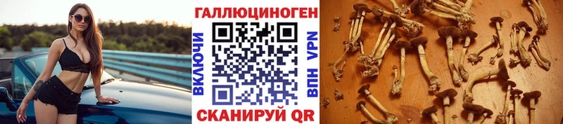 Галлюциногенные грибы мицелий Ленск